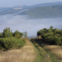 The path goes on, but how? A foggy valley hides bends and obstacles. We'll get there, some day.